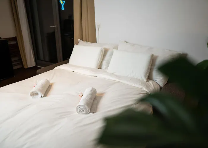 Modern Bijou Bern 公寓